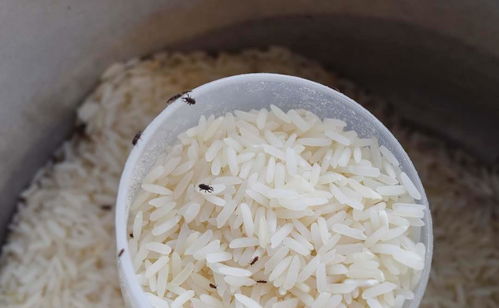 买大米时,先不管贵贱啥牌子,认准米袋 4行字 ,就是好大米